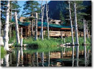 Resurrection Bay